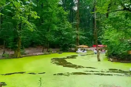 مرداب سراوان