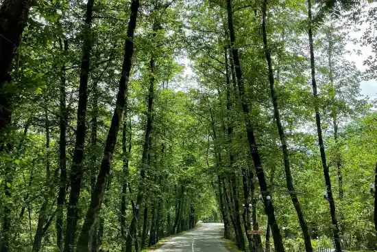 جاده سه هزار