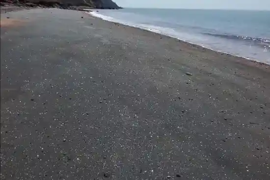 ساحل نقره ای