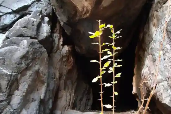 غار لاتاریک