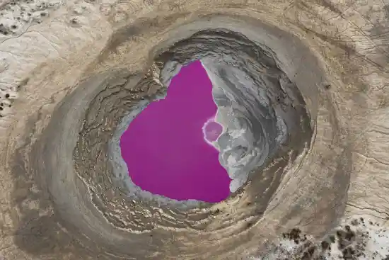 گل فشان نفتلیجه