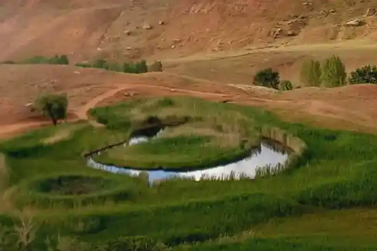 چمن شناور چملی گول-1