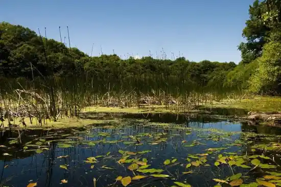 تالاب بیلی داغ