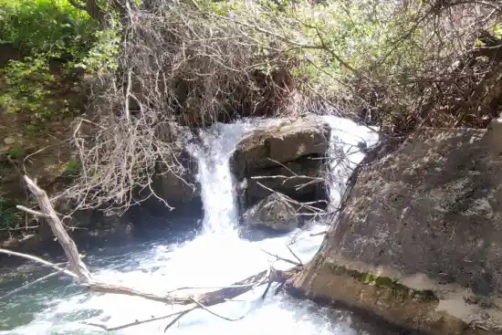 چشمه آبگلور