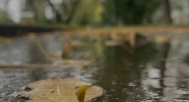 1 لوکیشن بارانی در هفت روز آینده