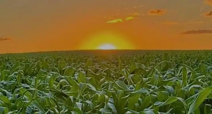 1 لوکیشن آفتابی و خنک در هفت روز آینده