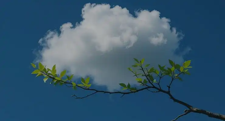 98 لوکیشن ابری امروز